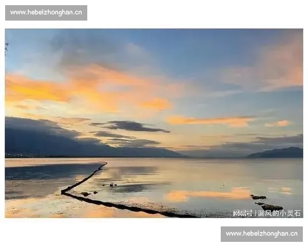 澳大利亚裸泳比赛引发热议挑战传统体育观念与道德界限